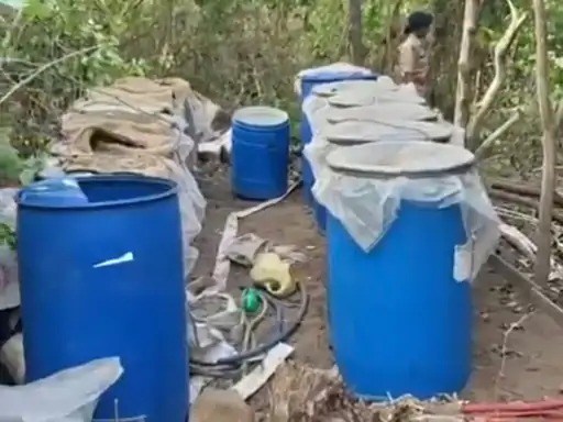 बिलासपुर में महुआ शराब फैक्ट्री का भंडाफोड़ : 240 लीटर कच्ची शराब बरामद, आरोपी अंधेरे का फायदा उठाकर हुए फरार